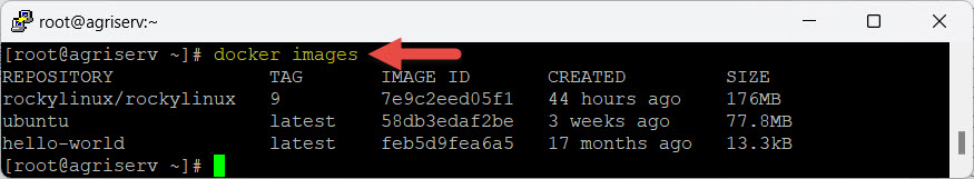 การติดตั้ง Docker บน Rocky Linux