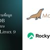 การติดตั้งฐานข้อมูล MariaDB Server บน Rocky Linux 9