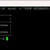 การตรวจสอบฐานข้อมูล MySQL/MariaDB ผ่าน Terminal