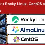 เปรียบเทียบ Rocky Linux, CentOS และ AlmaLinux