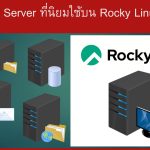 ประเภทของ Server ที่นิยมใช้บน Rocky Linux 9