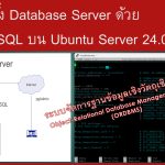 การติดตั้ง Database Server ด้วย PostgreSQL บน Ubuntu Server 24.04