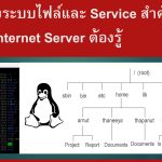 โครงสร้างระบบไฟล์ และ Service สำคัญที่ผู้ดูแล Internet Server ต้องรู้