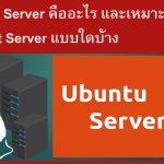 Ubuntu Server คืออะไร และเหมาะกับ Internet Server แบบใดบ้าง