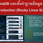 ติดตั้ง MariaDB และตั้งค่าฐานข้อมูลสำหรับ Production (Rocky Linux 9)