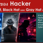 ประเภทของ Hacker: White Hat, Black Hat และ Gray Hat ต่างกันอย่างไร